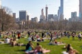 Big crowd of people gathering on the lawn in Central Park, New York City Royalty Free Stock Photo