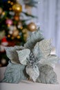 Blurred dark background with Christmas tree and gray poinsettia flower on a table. Yellow bokeh. Soft focus. Royalty Free Stock Photo