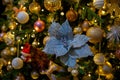 Blurred dark background with snowflakes and Christmas poinsettia flower with sparkles on a branch. Yellow bokeh. Soft Royalty Free Stock Photo