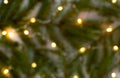 Blurred defocus green background of Christmas tree branches and garland lights Royalty Free Stock Photo