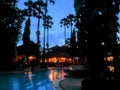 Blurred and defocus night view: black silhouettes of palm trees, houses illuminated by lights and light reflected in pool water Royalty Free Stock Photo