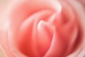 Blurred delicate floral background. Close up pink rose with drops. Defocused beautiful nature bokeh photo