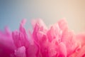 Blurred delicate petals of a pink peony