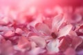 Blurred delicate pink petals backdrop. Generate ai