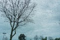 Blurred drops of rain on the window; focus on the tree in the background