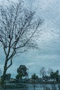 Blurred drops of rain on the window; focus on trees in the background