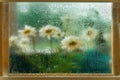 Blurred flowers, daisies in a wooden window frame, wet glass window, raindrops. Natural watercolor painting of nature Royalty Free Stock Photo