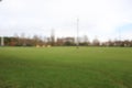 Blurred focus football green stadium empty blurry background