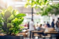 Blurred food court interior background with green leaves potted plants and bokeh light