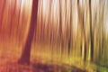Blurred forest as abstract background of nature