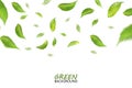 Blurred fresh flying green leaves, quality 3d imitation. Vector