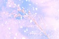 Blurred frozen grass. Winter abstract background. Landscape