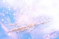 Blurred frozen grass. Winter abstract background. Landscape