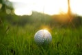 golf ball on tee in beautiful golf course at sunset background Royalty Free Stock Photo