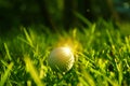 Golf ball on tee in beautiful golf course at sunset background Royalty Free Stock Photo