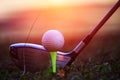 Blurred golf club and golf ball close up in grass field with sun Royalty Free Stock Photo