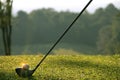Blurred golf club and golf ball close up in grass field Royalty Free Stock Photo