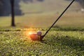 Blurred golf club and golf ball close up in grass field Royalty Free Stock Photo