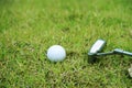 Blurred golf club and golf ball close up in grass field with sunset. Golf ball close up in golf coures Royalty Free Stock Photo