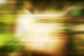 Blurred green abstrack background