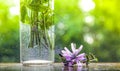 On a blurred green background vase stems in water bubbles on a flower table