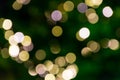 Blurred green fir tree lights background with bokeh.Texture with soft focus Royalty Free Stock Photo