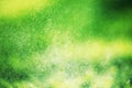 Blurred green grass and drops of morning fresh dew. Nature blurry meadow background. Springtime freshness concept Royalty Free Stock Photo