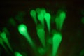 Blurred green light splash, bokeh effect background. Royalty Free Stock Photo