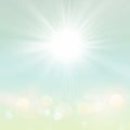 Blurred Green Spring Summer Nature Background with Sun Rays