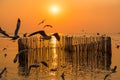 Blurred a group of seagulls flying in the dusk sunset sky with wood fence view and seascape at Bangpoo Samuthprakarn, Thailand Royalty Free Stock Photo