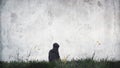 A blurred, grunge abstract edit of a strange mysterious hooded figure standing in a field. With a grunge minimal edit Royalty Free Stock Photo