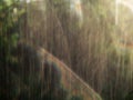 Heavy rain on blurred nature green background