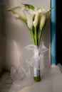 Blurred image of bouquet of fresh tulips in flower shop. Spring floral tulip bunch