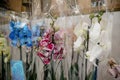 Blurred image of bouquet of fresh tulips in flower shop. Spring floral tulip bunch