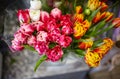 Blurred image of bouquet of fresh tulips in flower shop. Spring floral tulip bunch. Gift for romantic date Royalty Free Stock Photo