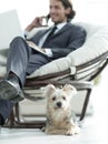 Blurred image of a businessman sitting in a chair and his little pet Royalty Free Stock Photo