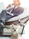 Blurred image of a businessman sitting in a chair and his little pet Royalty Free Stock Photo