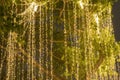 Blurred image Decorative outdoor string lights hanging in the garden at night time festivals season Royalty Free Stock Photo