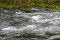 Blurred image of the movement of water in a beautiful forest river with a waterfall Royalty Free Stock Photo