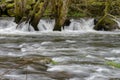 Blurred image of the movement of water in a beautiful forest river with a waterfall Royalty Free Stock Photo