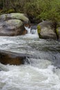 Blurred image of the movement of water in a beautiful forest river with a waterfall Royalty Free Stock Photo