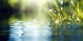 Blurred image of natural background from water and plants