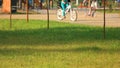 Blurred image of people in summer city park. Green lawn in a city park. Royalty Free Stock Photo