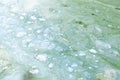 Blurred image of polluted water in the river by blue-green algae Royalty Free Stock Photo