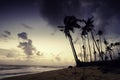 Blurred image silhouette of coconut tree on the beach