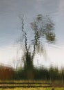 The blur of nature 3