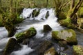 Blurred image of water in the waterfall Royalty Free Stock Photo