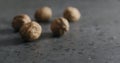 Blurred inshell walnuts on terrazzo countertop