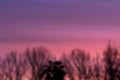 Blurred landscape. Defocused abstract photo of autumn forest at sunset. The beautiful gradient of the sky at sunset Royalty Free Stock Photo