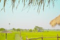 blurred landscape scenery frame of clear blue sky and green grass field